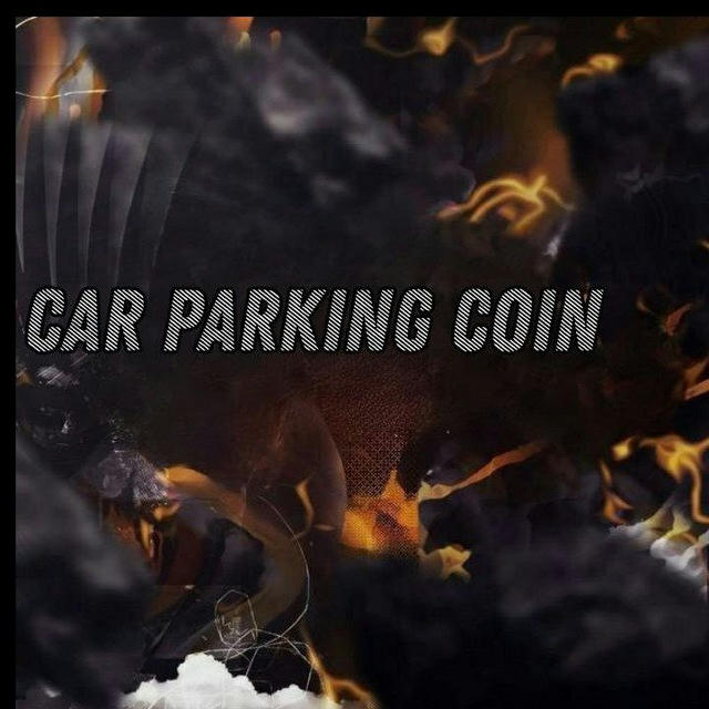 Car parking coin