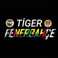 Tiger Fenerbahçe 🇹🇷