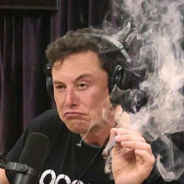 Elon Musk 💨💨💨