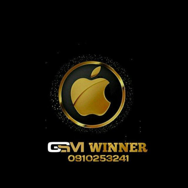 GSM WINNER FORENSIC