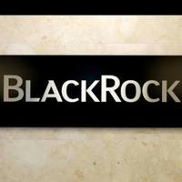 Black Rock Forex Investment