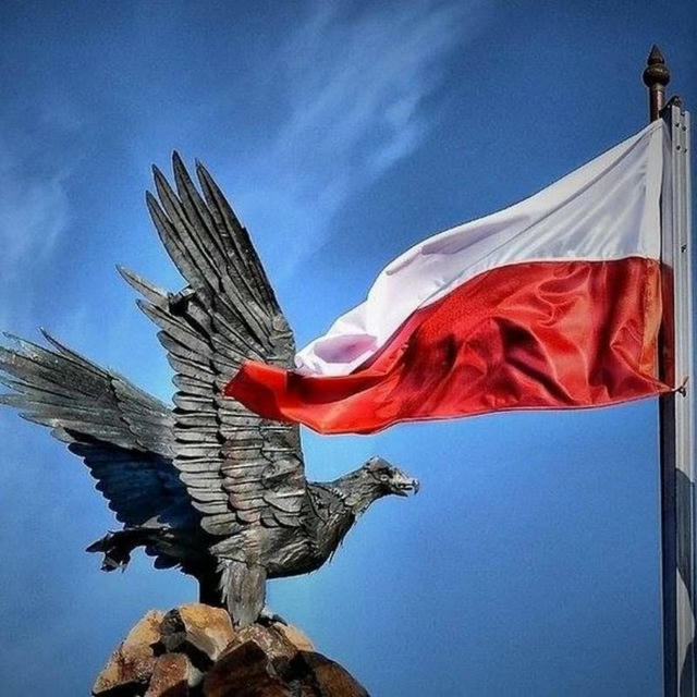 POLSKA SZTUKA INFO 🇵🇱 Polski Kanał Informacje Wiadomości Wydarzenia z kraju i ze świata Ukraina Izrael Wojna