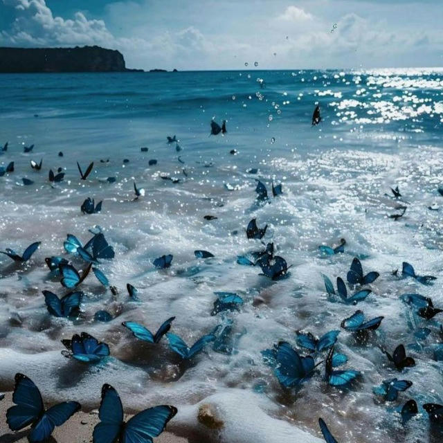 پروانه ای درعمق دریا.🦋🌊