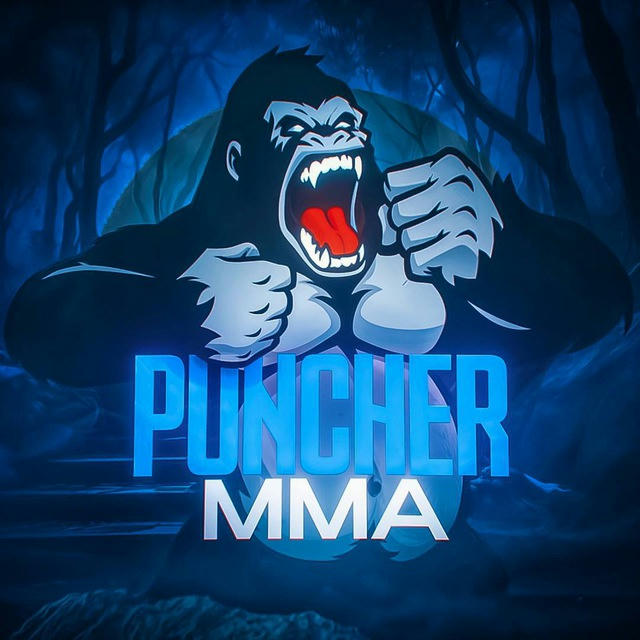 PUNCHER | MMA