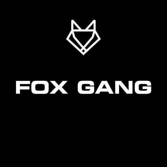 FOX GANG BLYA 🦊💥❤️‍🔥