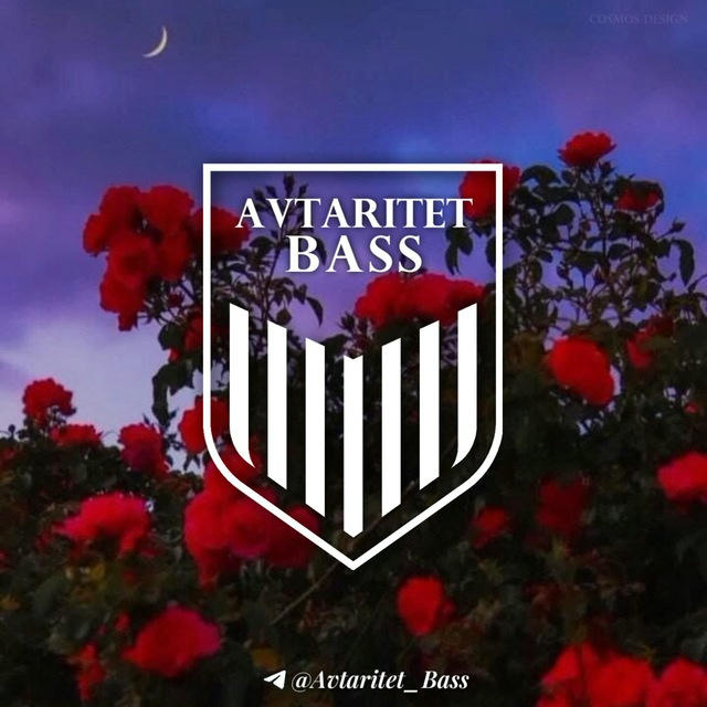 AVTARITET | BASS🐊
