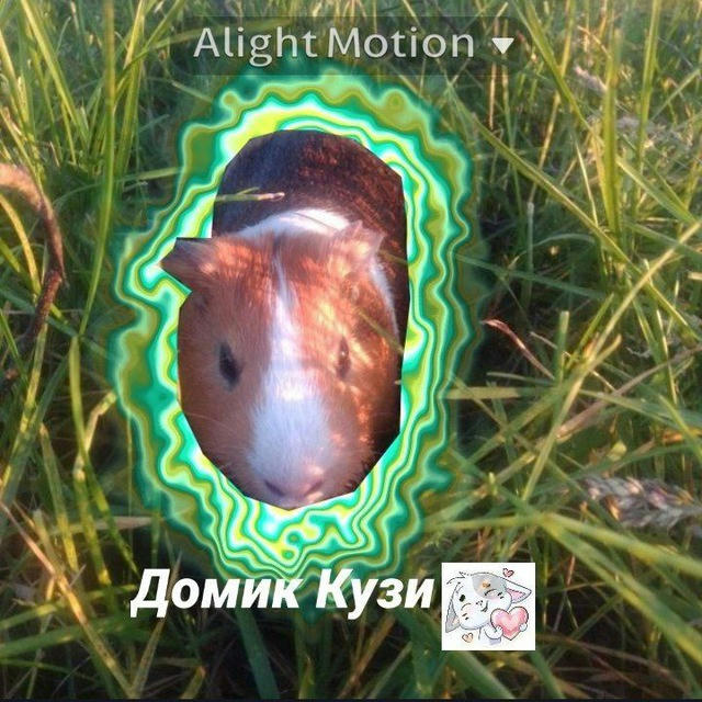 🫧Дᴏʍиᴋ Куɜи🌾