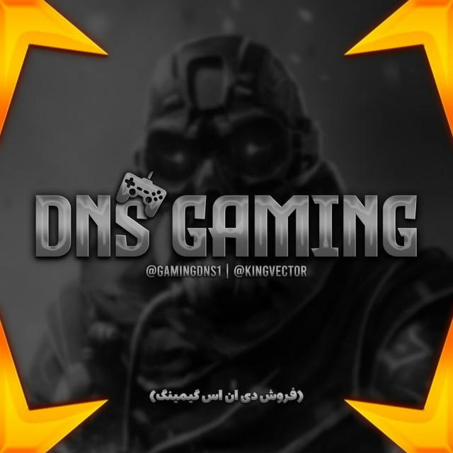 دی ان اس گیمینگ | DNS GAMING