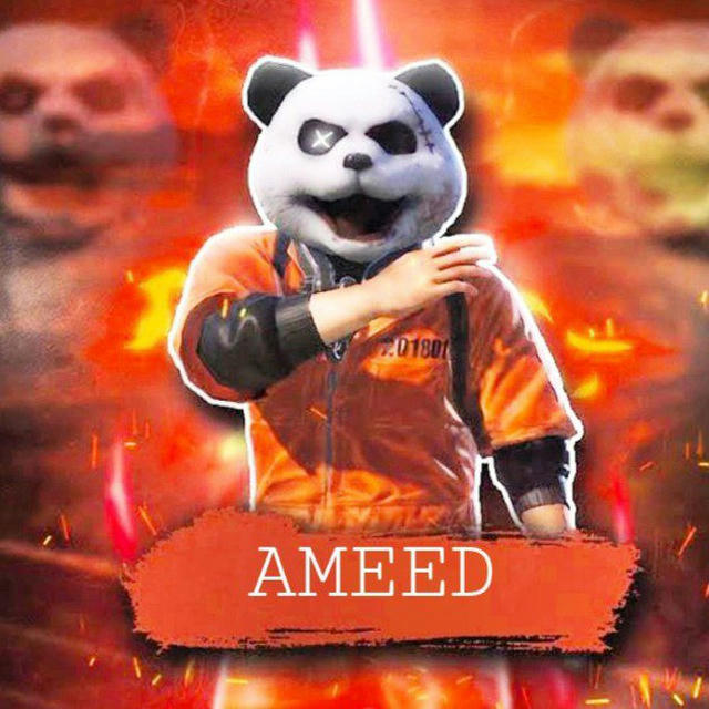 AMEED |STORE