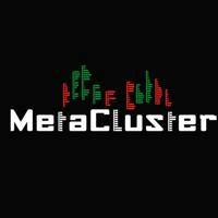 MetaCluster