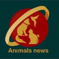 animals news