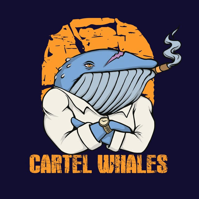 Cartel Whales 🐋