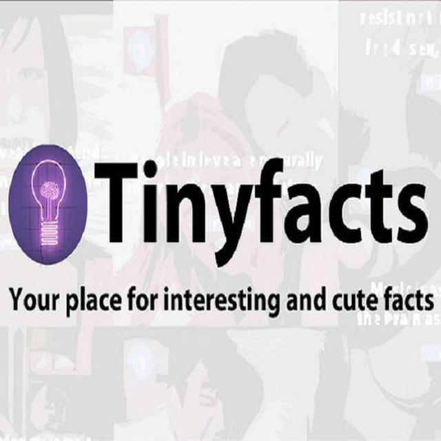 💡 Tiny Facts