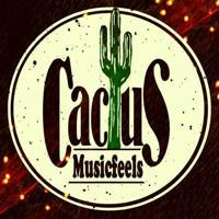 🌵 Cactus 🌵