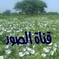 مقاطع وصور