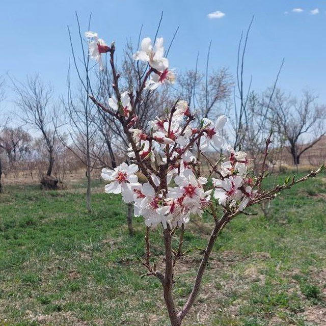 روستای بهارستان آشتیان