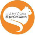 دیده‌بان گربه‌های ایران