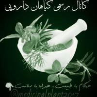 🌿گیاهان دارویـــی🌿
