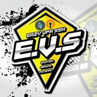 EAZY VIRTUAL STORE (E.V.S)