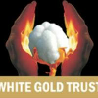 व्हाईट गोल्ड ट्रस्ट, छत्रपती संभाजीनगर (White Gold Trust, Chatrapati Sambhajinagar)