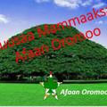 Kuusaa Mammaaksa Afaan Oromoo