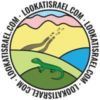 LookAtIsrael.com - Увидеть Израиль и не только