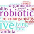 Probiotics & functional Foods