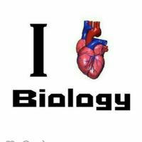 Biology yousefi