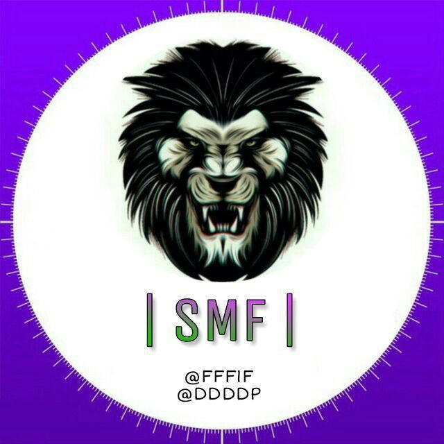 | S M F |