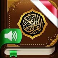 Kur'ân Tilâvetleri تلاوة القرآن