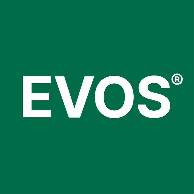 Evos Channel