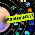 Strategist313