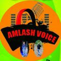 😂Amlashvoice😂