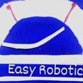 easy_robotic