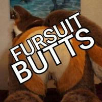 Fursuit Butts Channel (SFW Photos/gif)