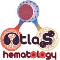 Hematopathology & Cytopathology International Cases🇺🇳