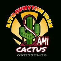 Samicactus ( Astrophytum iran )