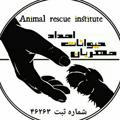 موسسه امداد حیوانات مهربان