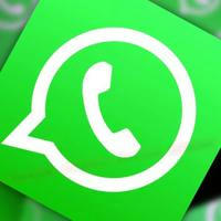 ban unban whatsapp telegram