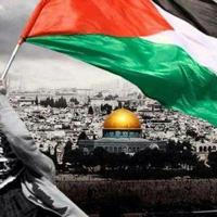 الفارس الفلسطيني للانترنت المجاني وبرامج الجواال🇵🇸🇵🇸🇵🇸
