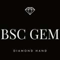 GEM BSC Group