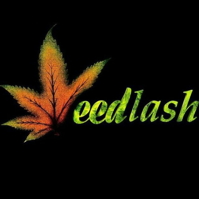 weedlash | ویدلش