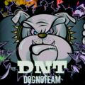 DogNoTeam Official™