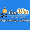cut-win.com