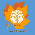 BrainResearch2017_FUM