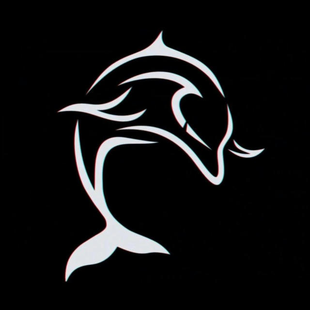 Dolphin Project: Сборки | Новости
