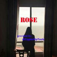 Rose_Margin🔐CryptoVipTools