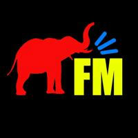 Слон FM | Інфа про ВІ КНУ