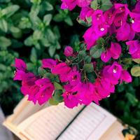 🎉 تحفيزات لِحافظات القرآن