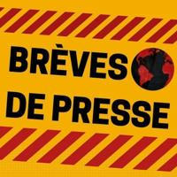 Brevesdepresse